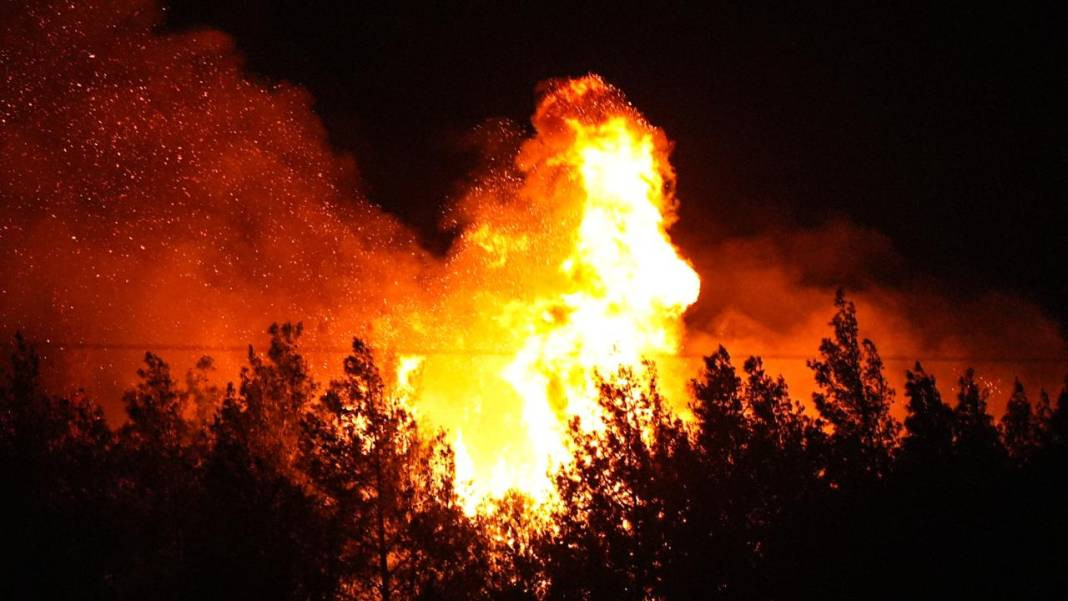 Türkiye'nin en büyük orman yangınları: Değişen tarihler, iktidarlar, cevapsız kalan sorular - Resim: 2